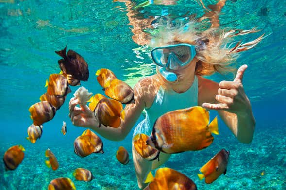 Snorkel en la Pared de El Palmar